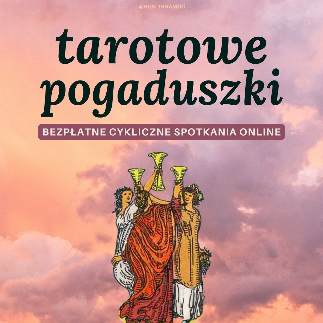 tarotowe-pogaduszki_roslinnamocpl
